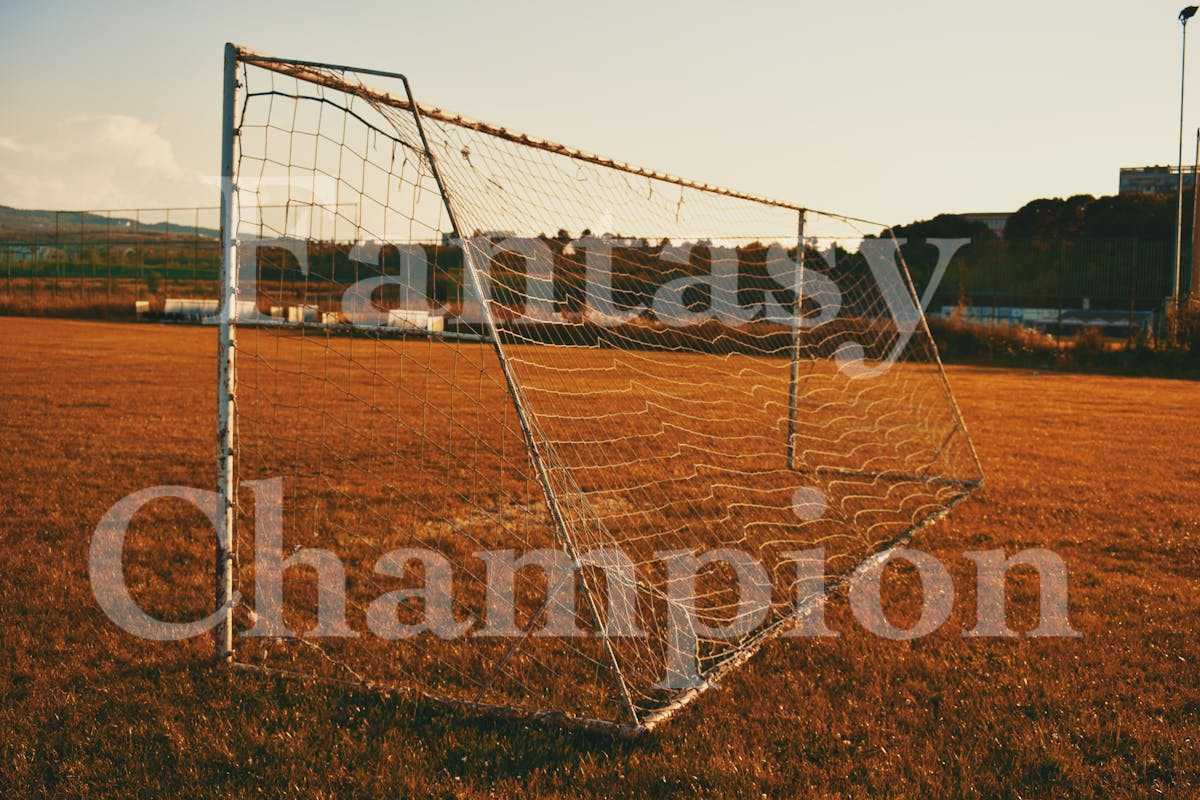 Fantasy Champion strategic tools